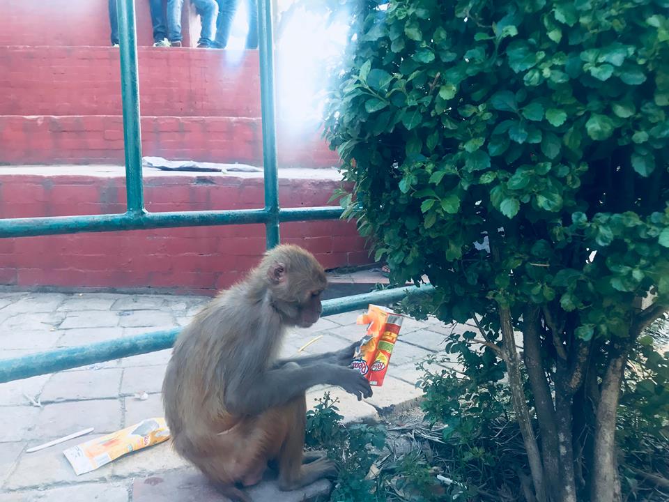 नयाँ वर्ष अनि भोका पेट : फाेटाे फिचर