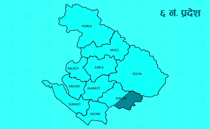 स्थानीय तहलाई महिला हिंसामुक्त बनाउन घोषणापत्र जारी