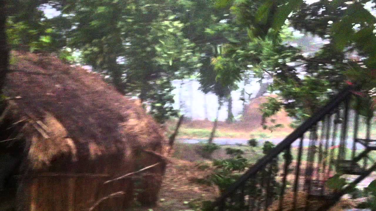 रातभर हावाहुरी र मेघगर्जन, विहानै झरी