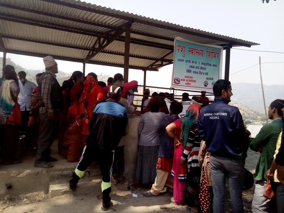 थाक्रे २ लामागाउँमा निशुल्क पशु स्वास्थ्य परिक्षण शिविर सम्पन्न ।