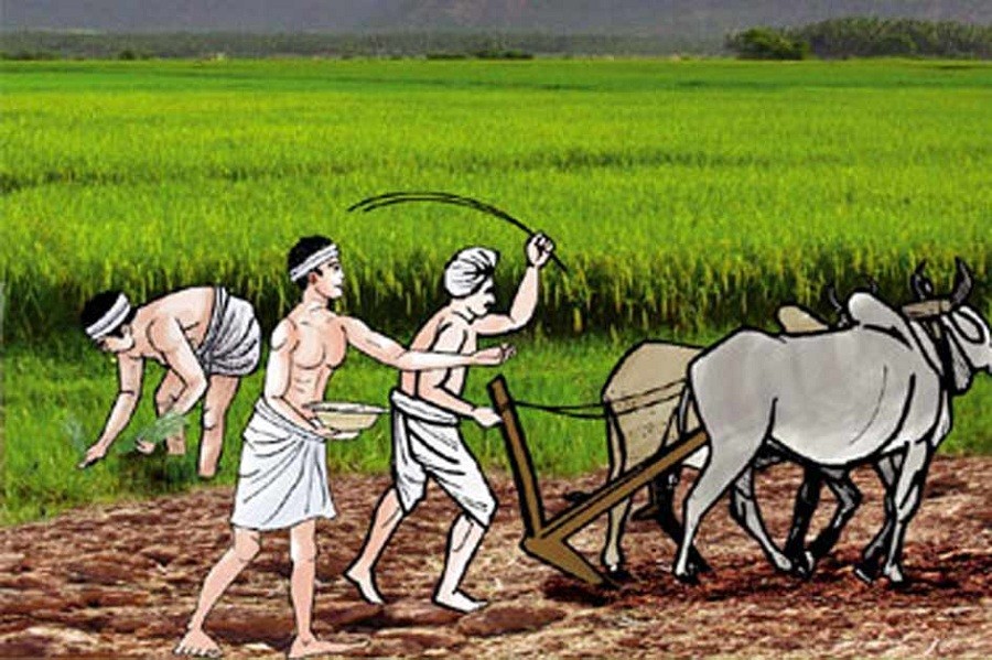 कृषि क्षेत्रका लागि ४५ अर्ब ९ करोड बजेट विनियोजन
