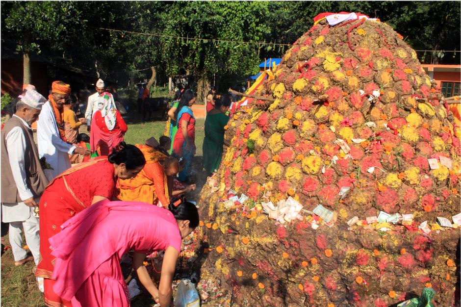 तिहारको चौथो दिन आज गोबर्धन पुजा